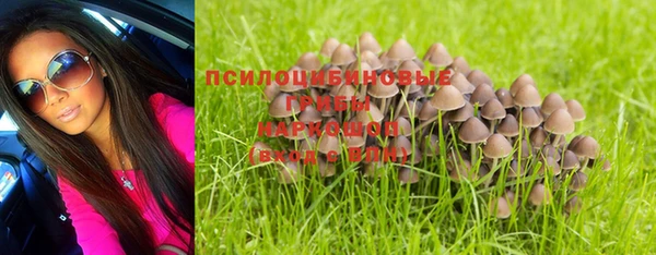 тгк Абаза