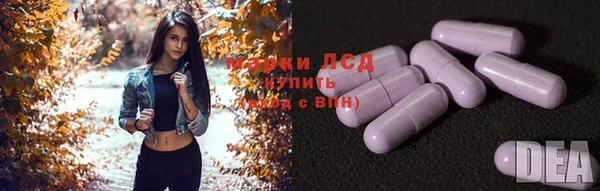 тгк Абаза