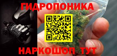 гидропоника Краснокаменск